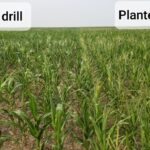Planter vs Air Drill: The Western Showdown