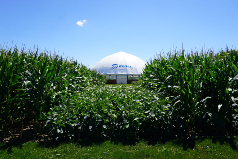 Maizex Agronomy 2023: Learn Connected!