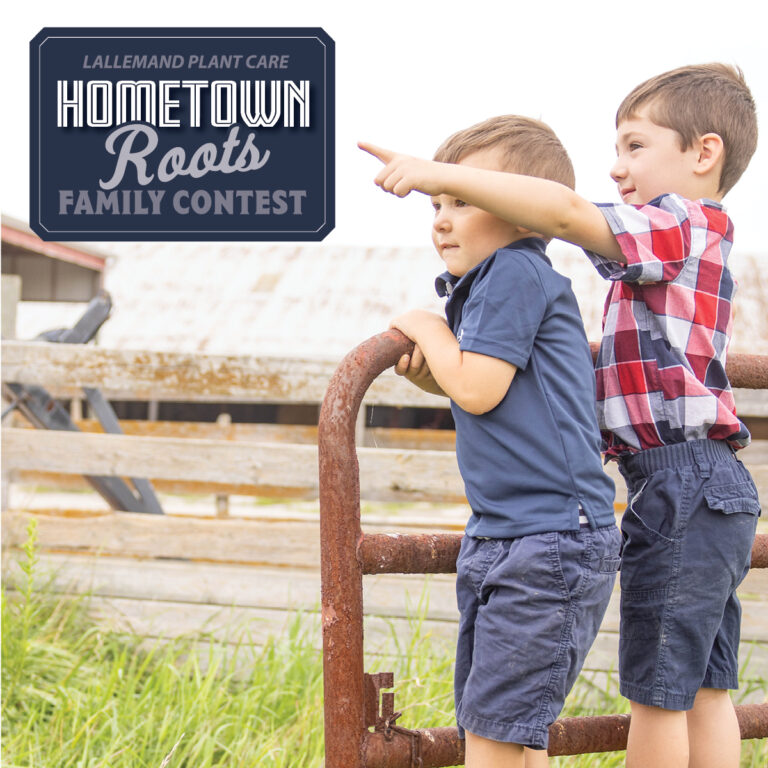 The Hometown Roots Family Contest