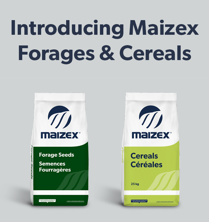Maizex Seeds announces one brand