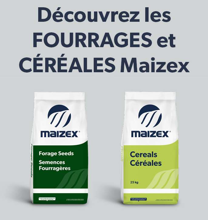 Semences Maizex annonce sa décision de commercialiser ses produits sous une seule marque