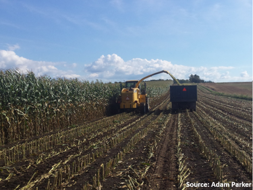 Crops being harvested 