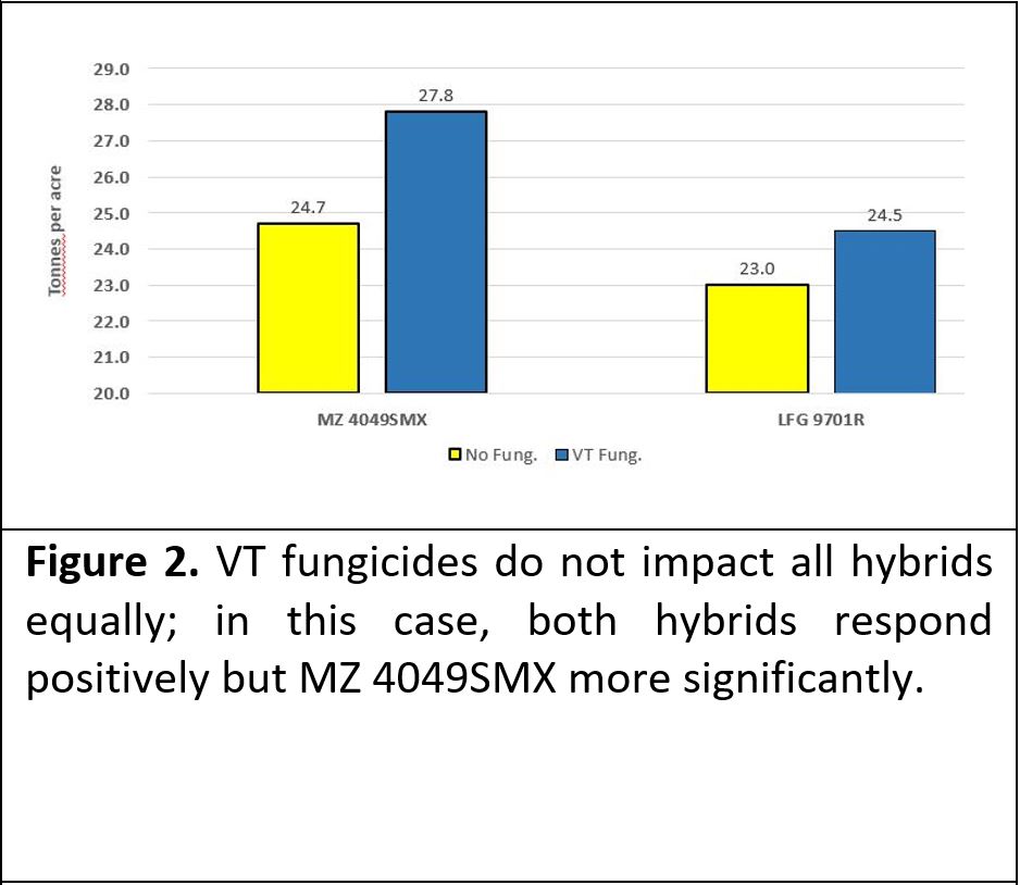 Fungicides case study 