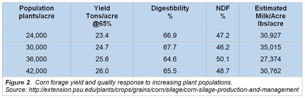 Maximizing Your Maizex Silage Crop
