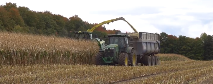 Crops being harvested 