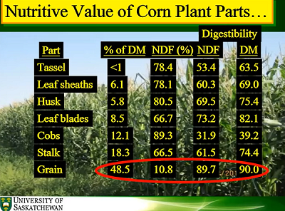 Value of Corn Plant Parts